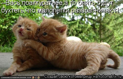 --Вась,поаккуратнее,а то опять будут бухтеть,что малолетки развратничают!... Котоматрица: --Вась,поаккуратнее,а то опять будут бухтеть,что малолетки развратничают!