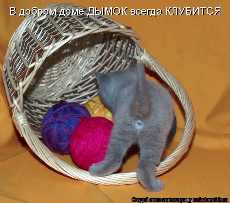 Котоматрица: В добром доме ДЫМОК всегда КЛУБИТСЯ