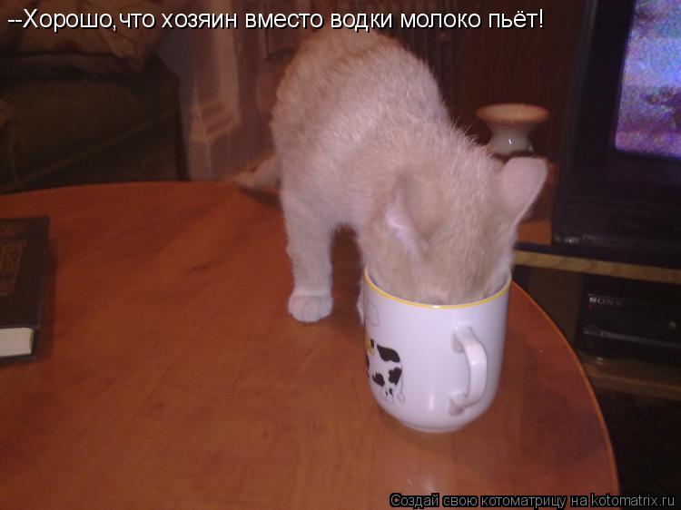 --Хорошо,что хозяин вместо водки молоко пьёт!... Котоматрица: --Хорошо,что хозяин вместо водки молоко пьёт!