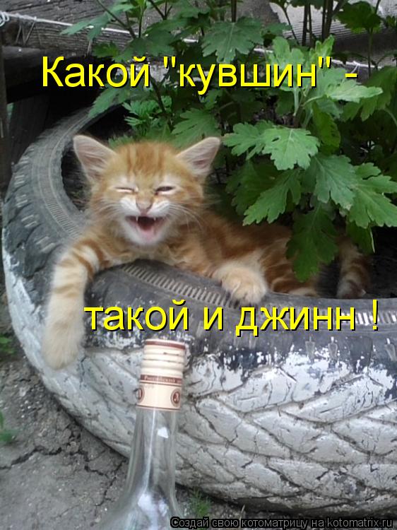 Какой "кувшин" - такой и джинн !... Котоматрица: Какой "кувшин" - такой и джинн !