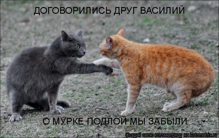 ДОГОВОРИЛИСЬ ДРУГ ВАСИЛИЙ О МУРКЕ ПОДЛОЙ МЫ ЗАБЫЛИ... Котоматрица: ДОГОВОРИЛИСЬ ДРУГ ВАСИЛИЙ О МУРКЕ ПОДЛОЙ МЫ ЗАБЫЛИ