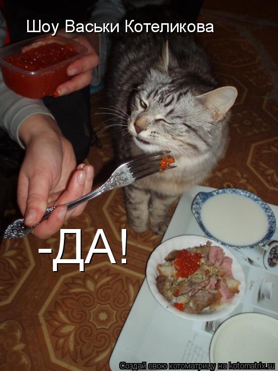 Шоу Васьки Котеликова -ДА!... Котоматрица: Шоу Васьки Котеликова -ДА!