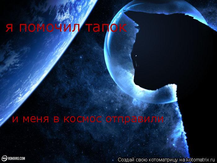 я помочил тапок и меня в космос отправили... Котоматрица: я помочил тапок и меня в космос отправили