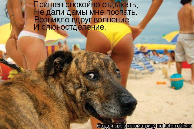 Пришел спокойно отдыхать, Не дали дамы мне поспать. Возникло вдруг волнение И слюноотделение.... Котоматрица: Пришел спокойно отдыхать, Не дали дамы мне поспать. Возникло вдруг волнение И слюноотделение.