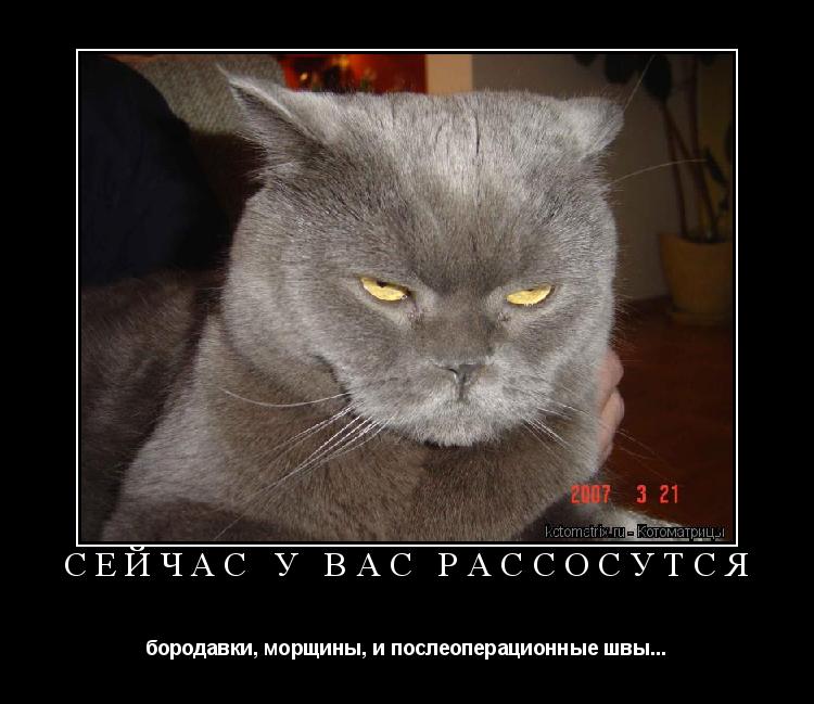 сейчас у вас рассосутся бородавки, морщины, и послеоперационные швы...... Котоматрица: сейчас у вас рассосутся бородавки, морщины, и послеоперационные швы...