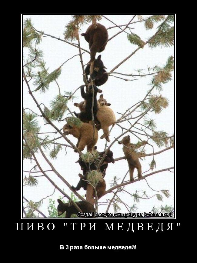 Пиво "Три медведя" В 3 раза больше медведей!... Котоматрица: Пиво "Три медведя" В 3 раза больше медведей!