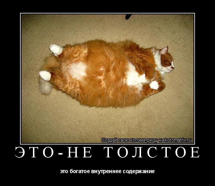Это-не толстое это богатое внутреннее содержание... Котоматрица: Это-не толстое это богатое внутреннее содержание