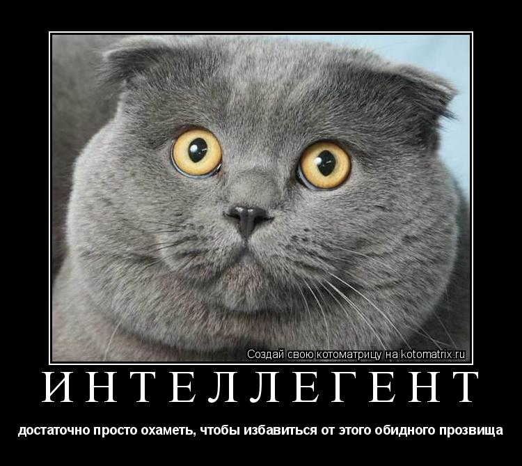 интеллегент достаточно просто охаметь, чтобы избавиться от этого обидного прозвища... Котоматрица: интеллегент достаточно просто охаметь, чтобы избавиться от этого обидного прозвища