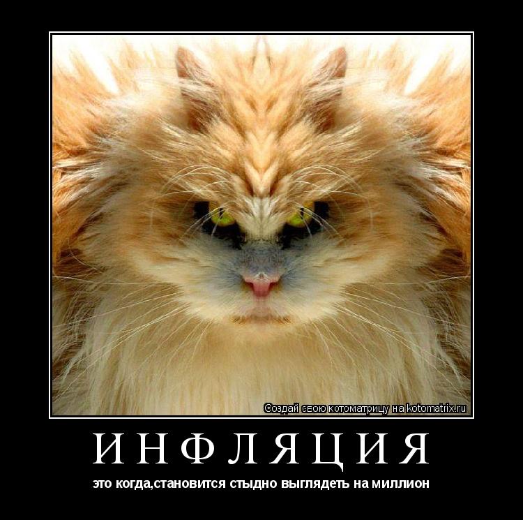 инфляция это когда,становится стыдно выглядеть на миллион... Котоматрица: инфляция это когда,становится стыдно выглядеть на миллион