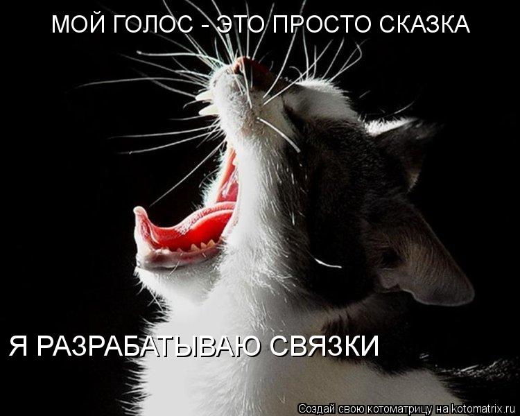 МОЙ ГОЛОС - ЭТО ПРОСТО СКАЗКА Я РАЗРАБАТЫВАЮ СВЯЗКИ... Котоматрица: МОЙ ГОЛОС - ЭТО ПРОСТО СКАЗКА Я РАЗРАБАТЫВАЮ СВЯЗКИ