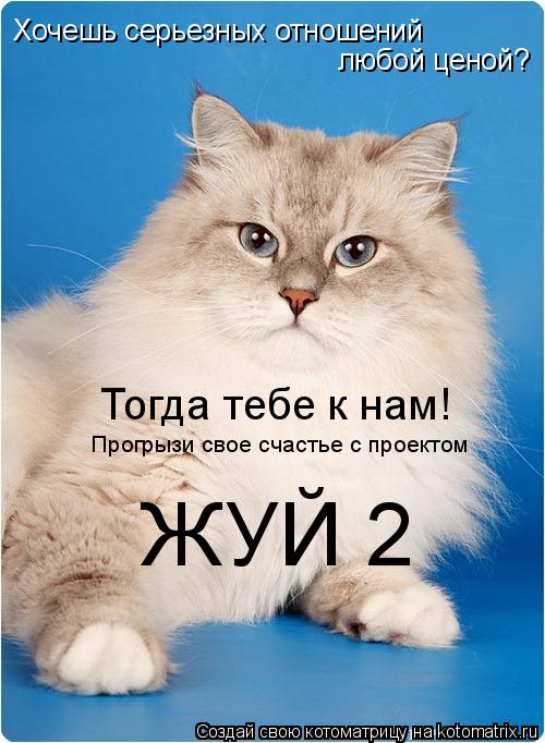 Хочешь серьезных отношений любой ценой? Тогда тебе к нам! Прогрызи свое счастье с проектом ЖУЙ 2... Котоматрица: Хочешь серьезных отношений любой ценой? Тогда тебе к нам! Прогрызи свое счастье с проектом ЖУЙ 2