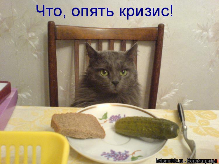 Что, опять кризис!... Котоматрица: Что, опять кризис!
