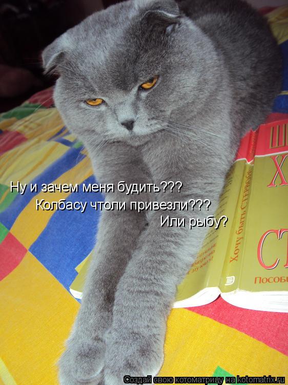 Ну и зачем меня будить??? Колбасу чтоли привезли??? Или рыбу?... Котоматрица: Ну и зачем меня будить??? Колбасу чтоли привезли??? Или рыбу?