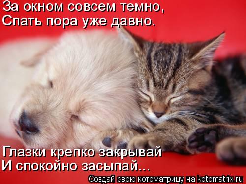 Котоматрица: За окном совсем темно, Глазки крепко закрывай Спать пора уже давно. И спокойно засыпай...