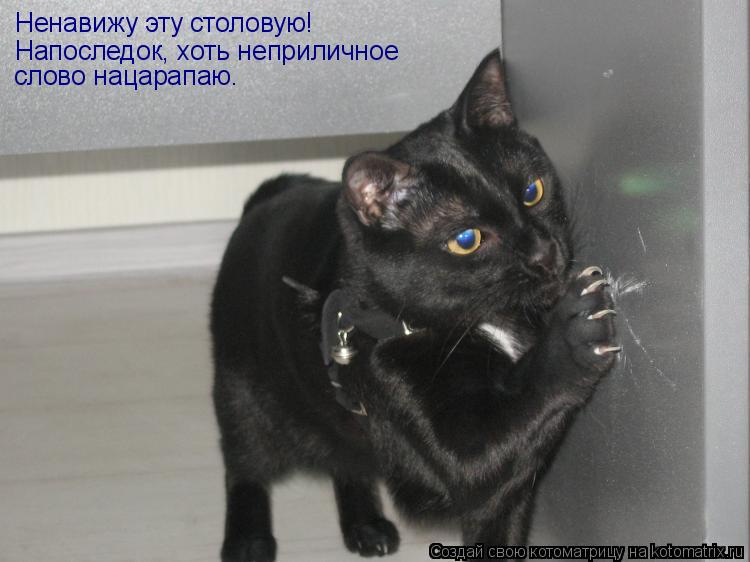 Ненавижу эту столовую! Напоследок, хоть неприличное слово нацарапаю.... Котоматрица: Ненавижу эту столовую! Напоследок, хоть неприличное слово нацарапаю.