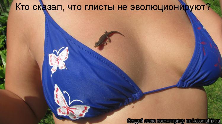 Котоматрица: Кто сказал, что глисты не эволюционируют?