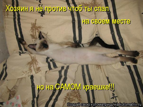 Котоматрица: Хозяин я не против чтоб ты спал  на своем месте но на САМОМ краешке!!!