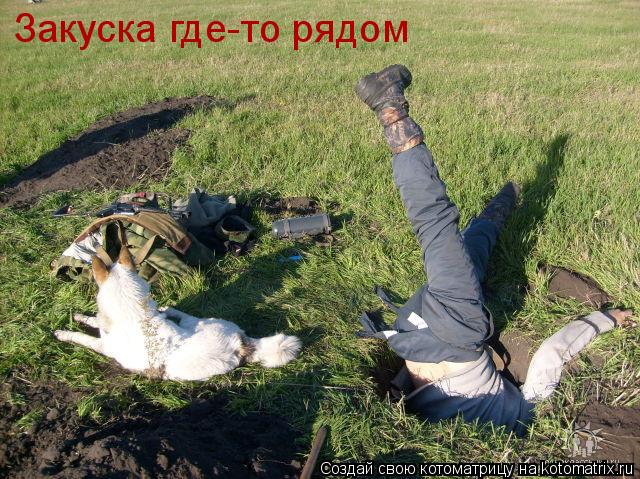 Котоматрица: Закуска где-то рядом