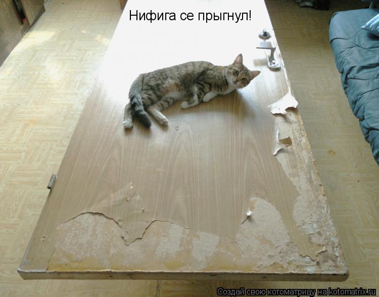 Нифига се прыгнул!... Котоматрица: Нифига се прыгнул!