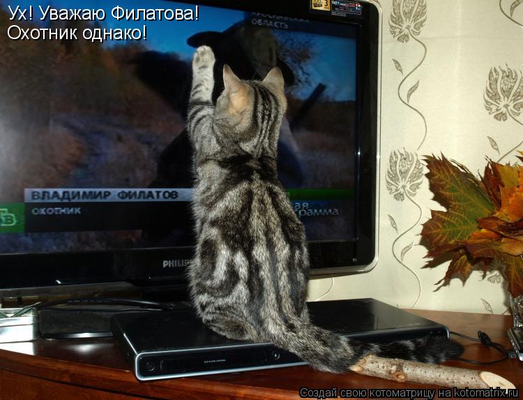 Ух! Уважаю Филатова! Охотник однако!... Котоматрица: Ух! Уважаю Филатова! Охотник однако!