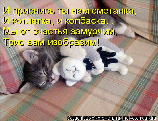 И приснись ты нам сметанка, И котлетка, и колбаска... Мы от счастья замурчим, Трио вам изобразим!... Котоматрица: И приснись ты нам сметанка, И котлетка, и колбаска... Мы от счастья замурчим, Трио вам изобразим!