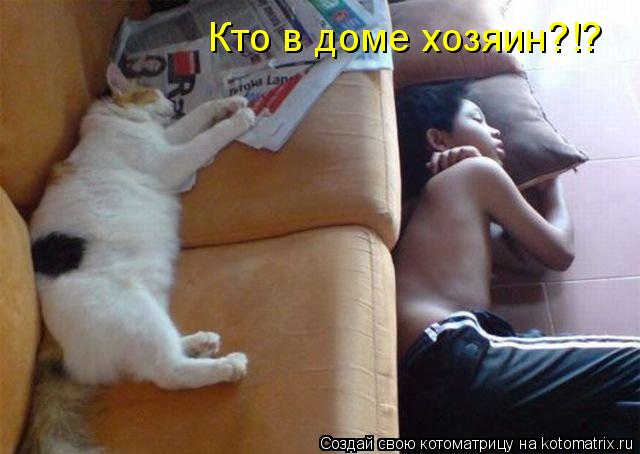Кто в доме хозяин?!?... Котоматрица: Кто в доме хозяин?!?