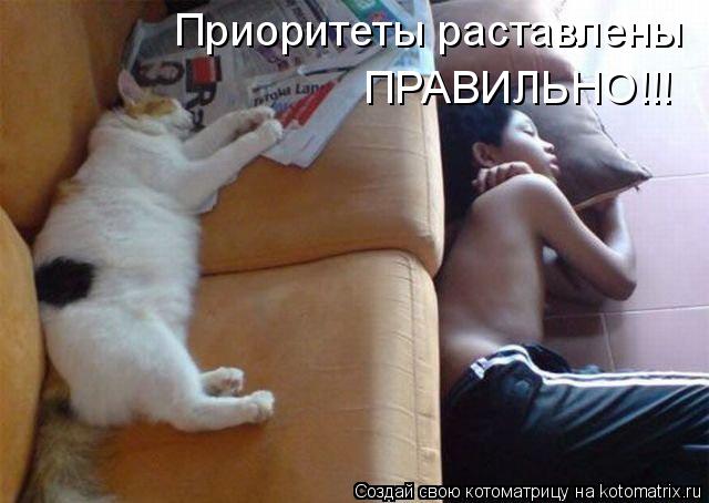 Приоритеты раставлены ПРАВИЛЬНО!!!... Котоматрица: Приоритеты раставлены ПРАВИЛЬНО!!!