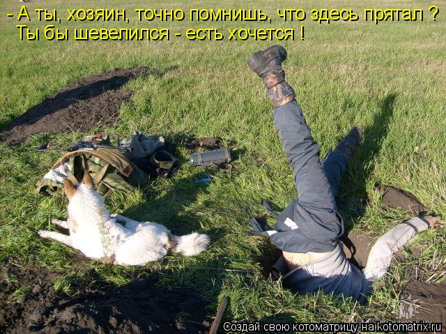 - А ты, хозяин, точно помнишь, что здесь прятал ? Ты бы шевелился - есть хочется !... Котоматрица: - А ты, хозяин, точно помнишь, что здесь прятал ? Ты бы шевелился - есть хочется !