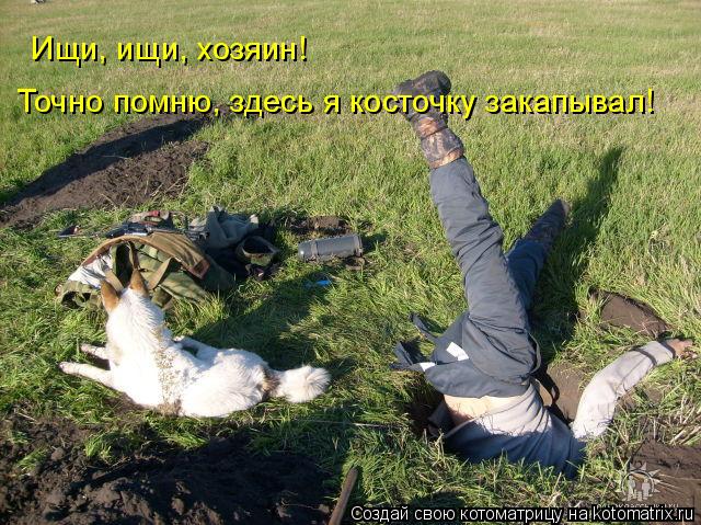 Ищи, ищи, хозяин! Точно помню, здесь я косточку закапывал!... Котоматрица: Ищи, ищи, хозяин! Точно помню, здесь я косточку закапывал!