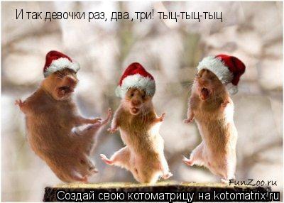 И так девочки раз, два ,три! тыц-тыц-тыц... Котоматрица: И так девочки раз, два ,три! тыц-тыц-тыц