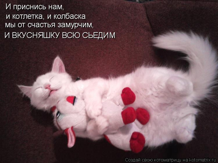 И приснись нам, и котлетка, и колбаска мы от счастья замурчим, И ВКУСНЯШКУ ВСЮ СЬЕДИМ... Котоматрица: И приснись нам, и котлетка, и колбаска мы от счастья замурчим, И ВКУСНЯШКУ ВСЮ СЬЕДИМ