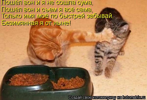 Пошёл вон и я не сошла сума, Только имя моё по быстрей забывай, Пошёл вон и съем я всё сама, Безимянн... Котоматрица: Пошёл вон и я не сошла сума, Только имя моё по быстрей забывай, Пошёл вон и съем я всё сама, Безимянная я от ныне!