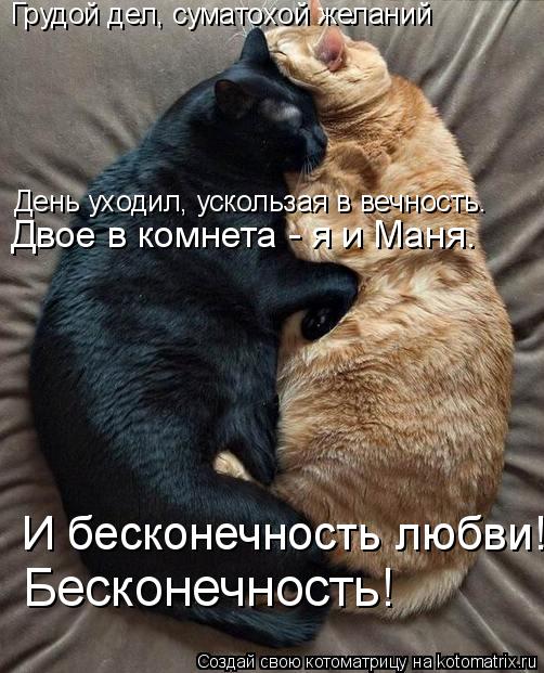 Грудой дел, суматохой желаний День уходил, ускользая в вечность. Двое в комнета - я и Маня. И бескон... Котоматрица: Грудой дел, суматохой желаний День уходил, ускользая в вечность. Двое в комнета - я и Маня. И бесконечность любви! Бесконечность!