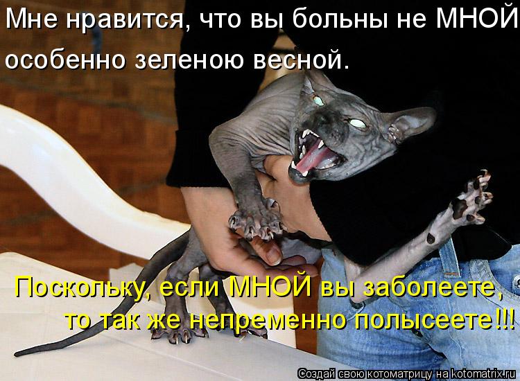 Мне нравится, что вы больны не МНОЙ, особенно зеленою весной. Поскольку, если МНОЙ вы заболеете, т... Котоматрица: Мне нравится, что вы больны не МНОЙ, особенно зеленою весной. Поскольку, если МНОЙ вы заболеете, то так же непременно полысеете!!!