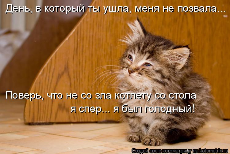 День, в который ты ушла, меня не позвала... Поверь, что не со зла котлету со стола я спер... я был го... Котоматрица: День, в который ты ушла, меня не позвала... Поверь, что не со зла котлету со стола я спер... я был голодный!