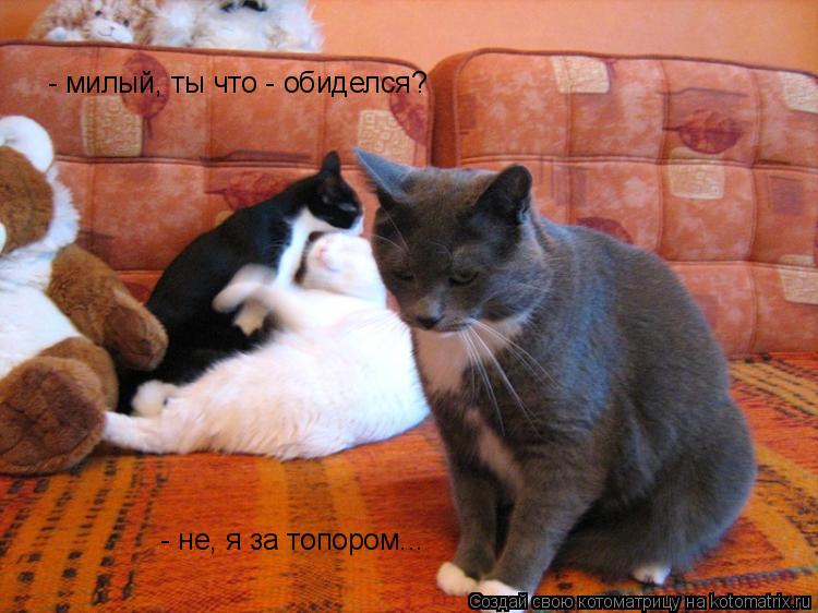 - милый, ты что - обиделся? - не, я за топором...... Котоматрица: - милый, ты что - обиделся? - не, я за топором...