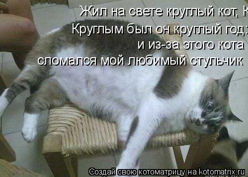Жил на свете круглый кот, Круглым был он круглый год: Кругло ел и кругло пил, Кругло "мяу" говорил К... Котоматрица: Жил на свете круглый кот, Круглым был он круглый год: Кругло ел и кругло пил, Кругло "мяу" говорил Круглым был он круглый год: Кругло ел и круг
