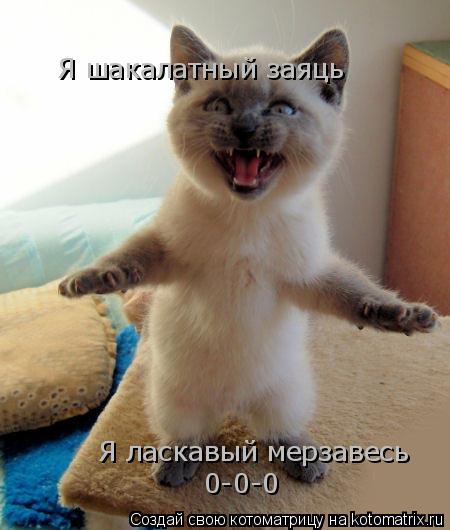 Я шакалатный заяць Я ласкавый мерзавесь 0-0-0... Котоматрица: Я шакалатный заяць Я ласкавый мерзавесь 0-0-0