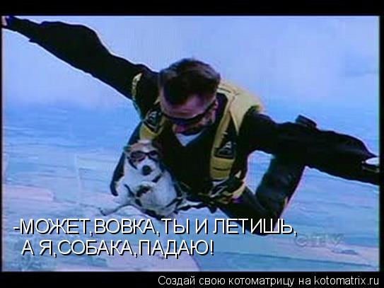 -МОЖЕТ,ВОВКА,ТЫ И ЛЕТИШЬ, А Я,СОБАКА,ПАДАЮ!... Котоматрица: -МОЖЕТ,ВОВКА,ТЫ И ЛЕТИШЬ, А Я,СОБАКА,ПАДАЮ!
