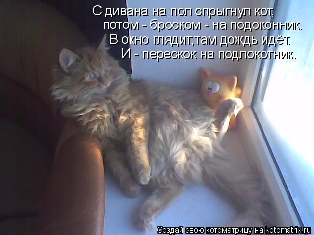 С дивана на пол спрыгнул кот, потом - броском - на подоконник. В окно глядит,там дождь идёт. И - пе... Котоматрица: С дивана на пол спрыгнул кот, потом - броском - на подоконник. В окно глядит,там дождь идёт. И - перескок на подлокотник.