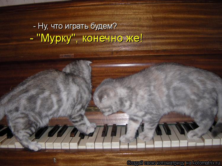 - Ну, что играть будем? - "Мурку", конечно же!... Котоматрица: - Ну, что играть будем? - "Мурку", конечно же!