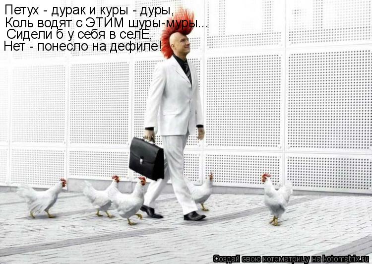 Котоматрица: Петух - дурак и куры - дуры, Коль водят с ЭТИМ шуры-муры... Сидели б у себя в селЕ, Нет - понесло на дефиле!