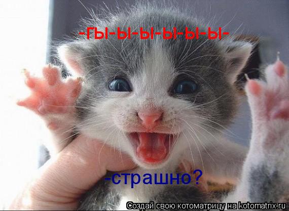-страшно? -гы-ы-ы-ы-ы-ы-... Котоматрица: -страшно? -гы-ы-ы-ы-ы-ы-