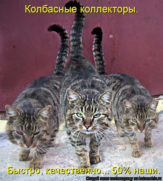 Колбасные коллекторы. Быстро, качественно... 50% наши.... Котоматрица: Колбасные коллекторы. Быстро, качественно... 50% наши.