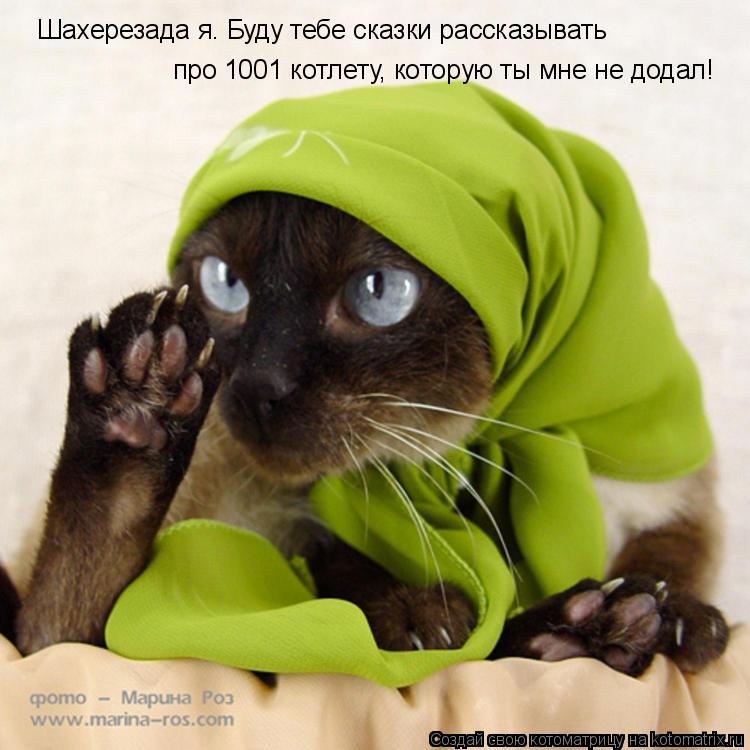 Шахерезада я. Буду тебе сказки рассказывать про 1001 котлету, которую ты мне не додал!... Котоматрица: Шахерезада я. Буду тебе сказки рассказывать про 1001 котлету, которую ты мне не додал!
