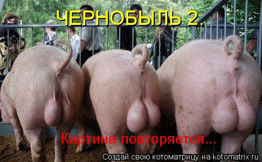 ЧЕРНОБЫЛЬ 2. Картина повторяется...... Котоматрица: ЧЕРНОБЫЛЬ 2. Картина повторяется...