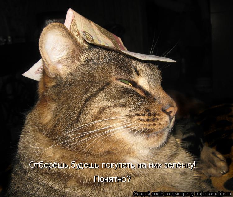 Отберёшь,будешь покупать на них зелёнку! Понятно?... Котоматрица: Отберёшь,будешь покупать на них зелёнку! Понятно?