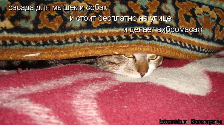 сасада для мышек и собак и стоит бесплатно на улице и делает вибромасаж... Котоматрица: сасада для мышек и собак и стоит бесплатно на улице и делает вибромасаж
