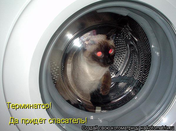Да придёт спасатель! Терминатор!... Котоматрица: Да придёт спасатель! Терминатор!