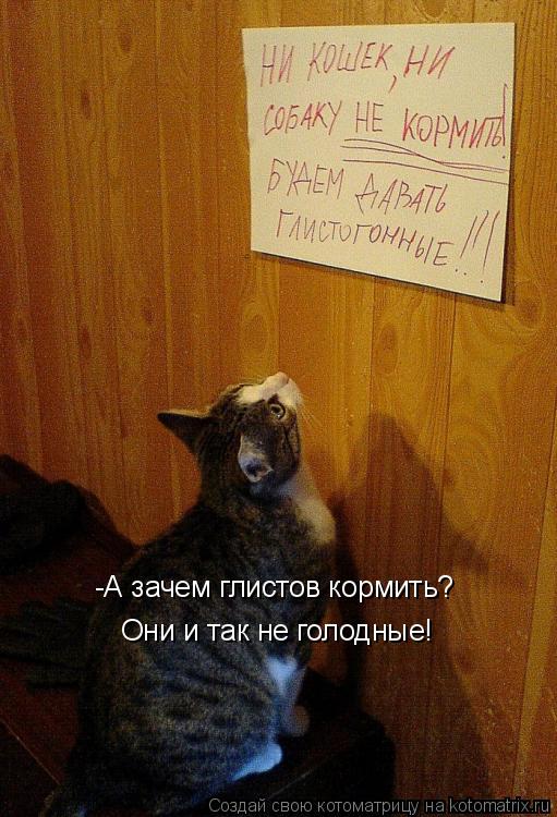 -А зачем глистов кормить? Они и так не голодные!... Котоматрица: -А зачем глистов кормить? Они и так не голодные!
